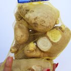 Ginger Packaging Plastic Mesh Bag-HDPE pp Netto Plantaardige Zakken